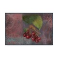 Trademark Fine Art Cora Niele 'Cherries Fruit Series' Canvas Art, 22x32 ALI41806-C2232GG